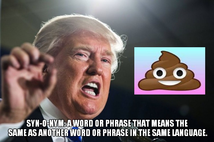 donald trump | SYN-O-NYM: A WORD OR PHRASE THAT MEANS THE SAME AS ANOTHER WORD OR PHRASE IN THE SAME LANGUAGE. | image tagged in donald trump | made w/ Imgflip meme maker