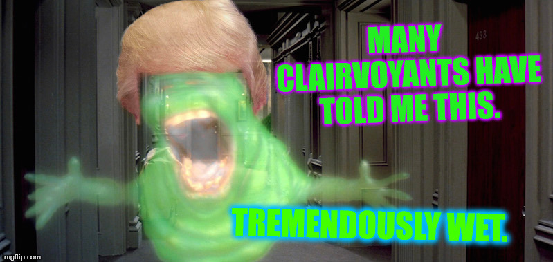 MANY CLAIRVOYANTS HAVE TOLD ME THIS. TREMENDOUSLY WET. | made w/ Imgflip meme maker