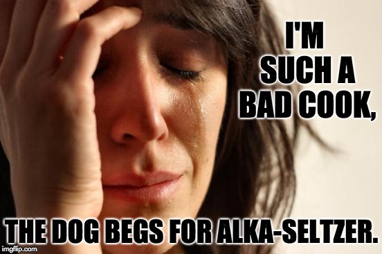 First World Problems | I'M SUCH A BAD COOK, THE DOG BEGS FOR ALKA-SELTZER. | image tagged in memes,first world problems | made w/ Imgflip meme maker