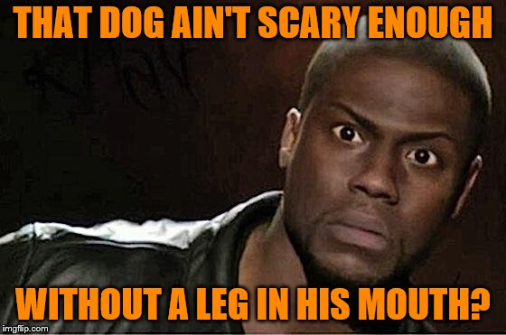 Kevin Hart Meme | THAT DOG AIN'T SCARY ENOUGH WITHOUT A LEG IN HIS MOUTH? | image tagged in memes,kevin hart | made w/ Imgflip meme maker