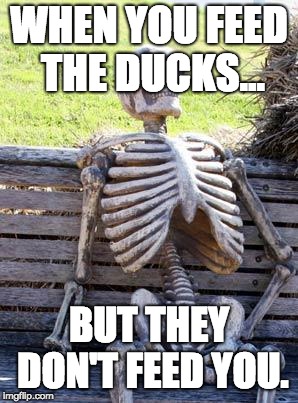 Waiting Skeleton | WHEN YOU FEED THE DUCKS... BUT THEY DON'T FEED YOU. | image tagged in memes,waiting skeleton | made w/ Imgflip meme maker