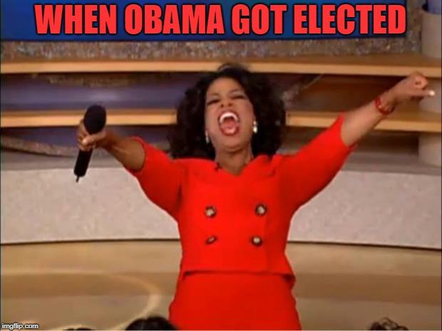 Oprah You Get A | WHEN OBAMA GOT ELECTED | image tagged in memes,oprah you get a | made w/ Imgflip meme maker