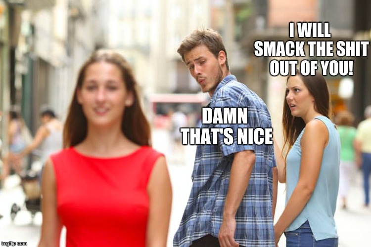 Distracted Boyfriend Meme | I WILL SMACK THE SHIT OUT OF YOU! DAMN THAT'S
NICE | image tagged in memes,distracted boyfriend | made w/ Imgflip meme maker