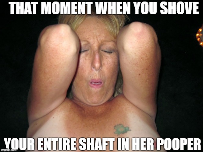 THAT MOMENT WHEN YOU SHOVE; YOUR ENTIRE SHAFT IN HER POOPER | image tagged in all the way in | made w/ Imgflip meme maker