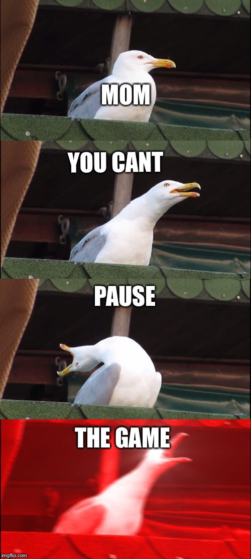 Inhaling Seagull | MOM; YOU CANT; PAUSE; THE GAME | image tagged in memes,inhaling seagull | made w/ Imgflip meme maker