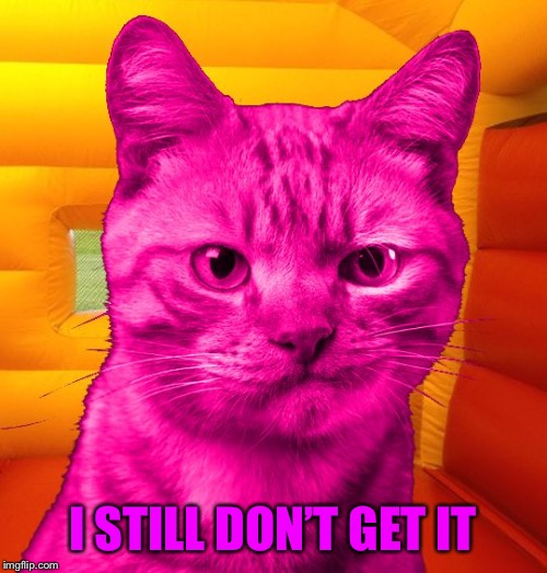 DisSat RayCat | I STILL DON’T GET IT | image tagged in dissat raycat | made w/ Imgflip meme maker