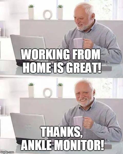 Hide the Pain Harold Meme | WORKING FROM HOME IS GREAT! THANKS, ANKLE MONITOR! | image tagged in memes,hide the pain harold | made w/ Imgflip meme maker