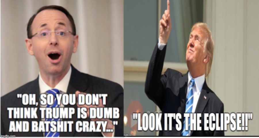 "Oh, you don't think Trump is dumb?" | image tagged in rod rosenstein | made w/ Imgflip meme maker