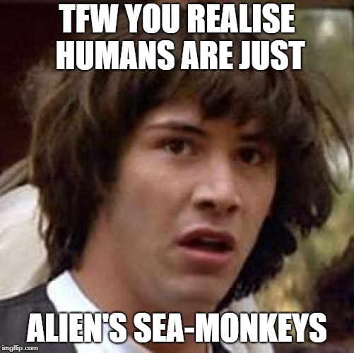 Conspiracy Keanu Meme | TFW YOU REALISE HUMANS ARE JUST ALIEN'S SEA-MONKEYS | image tagged in memes,conspiracy keanu | made w/ Imgflip meme maker