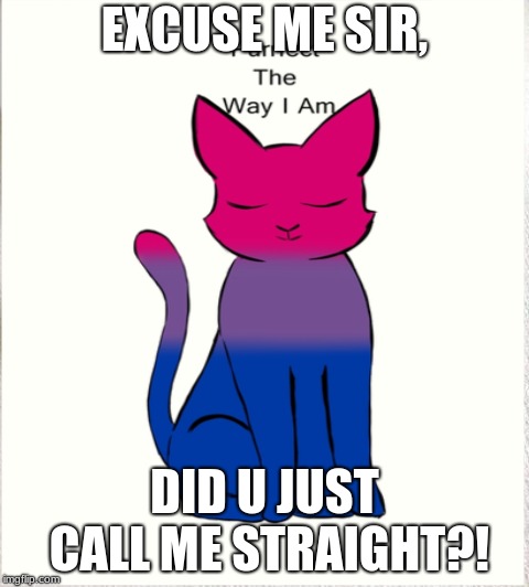 I'mNotStraight | EXCUSE ME SIR, DID U JUST CALL ME STRAIGHT?! | image tagged in bisexual | made w/ Imgflip meme maker