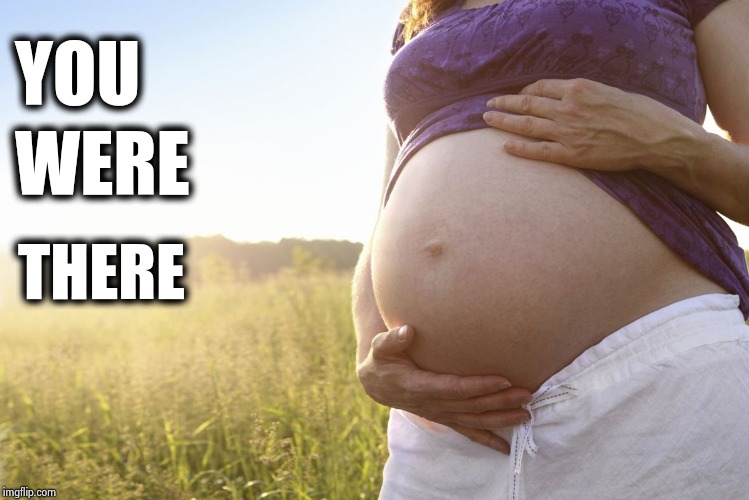 Pregnant Woman | YOU THERE WERE | image tagged in pregnant woman | made w/ Imgflip meme maker