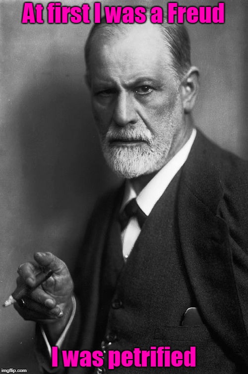 Sigmund Freud Meme | At first I was a Freud I was petrified | image tagged in memes,sigmund freud | made w/ Imgflip meme maker