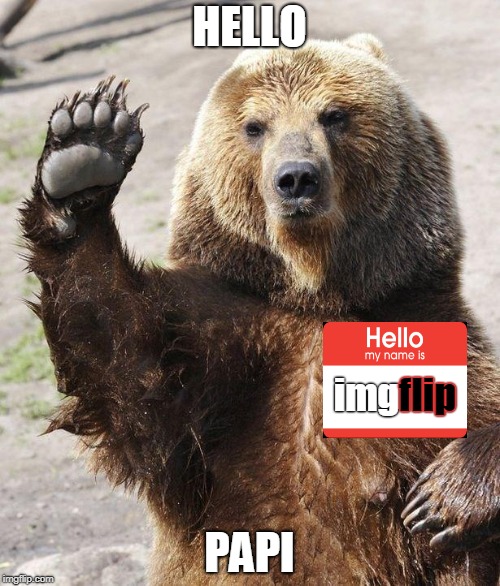 Hello bear | HELLO PAPI imgflip flip | image tagged in hello bear | made w/ Imgflip meme maker
