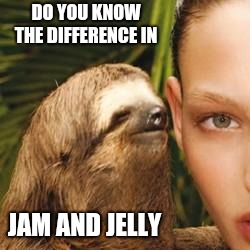 rape sloth | DO YOU KNOW THE DIFFERENCE IN; JAM AND JELLY | image tagged in rape sloth | made w/ Imgflip meme maker