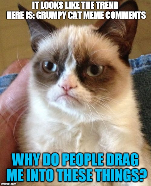 Grumpy Cat Meme | IT LOOKS LIKE THE TREND HERE IS: GRUMPY CAT MEME COMMENTS WHY DO PEOPLE DRAG ME INTO THESE THINGS? | image tagged in memes,grumpy cat | made w/ Imgflip meme maker