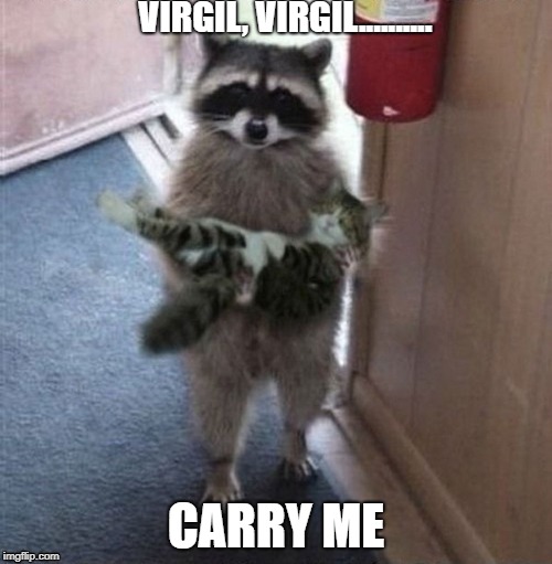 raccoon carrying cat | VIRGIL, VIRGIL.......... CARRY ME | image tagged in raccoon carrying cat | made w/ Imgflip meme maker