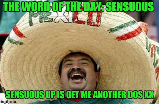 mexican word of the day | THE WORD OF THE DAY: SENSUOUS; SENSUOUS UP IS GET ME ANOTHER DOS XX | image tagged in mexican word of the day | made w/ Imgflip meme maker