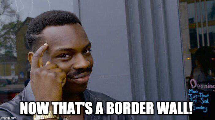 Roll Safe Think About It Meme | NOW THAT'S A BORDER WALL! | image tagged in memes,roll safe think about it | made w/ Imgflip meme maker