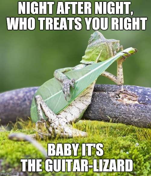 Something Keeps Him Going', 
Miles and Miles a Day, 
't Find Another Place to Play | NIGHT AFTER NIGHT, WHO TREATS YOU RIGHT; BABY IT'S THE GUITAR-LIZARD | image tagged in guitar lizard,bread | made w/ Imgflip meme maker