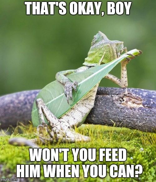 Take a Load Off | THAT'S OKAY, BOY; WON'T YOU FEED HIM WHEN YOU CAN? | image tagged in guitar lizard,the band,the weight | made w/ Imgflip meme maker
