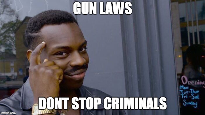 Roll Safe Think About It | GUN LAWS; DONT STOP CRIMINALS | image tagged in memes,roll safe think about it | made w/ Imgflip meme maker