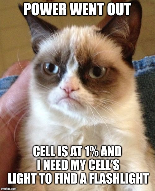 Grumpy Cat Meme | POWER WENT OUT; CELL IS AT 1% AND I NEED MY CELL’S LIGHT TO FIND A FLASHLIGHT | image tagged in memes,grumpy cat | made w/ Imgflip meme maker