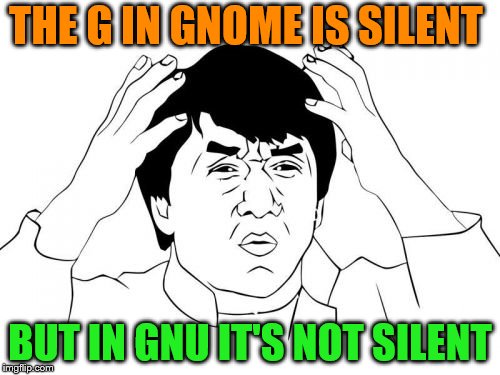 Jackie Chan WTF Meme | THE G IN GNOME IS SILENT; BUT IN GNU IT'S NOT SILENT | image tagged in memes,jackie chan wtf | made w/ Imgflip meme maker