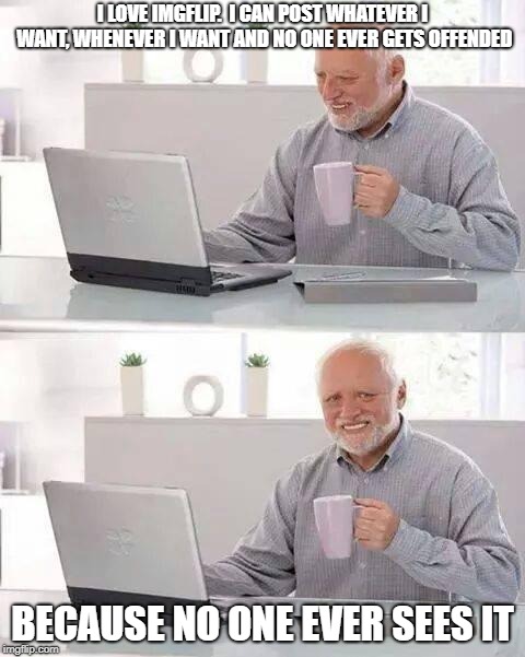 Hide the Pain Harold | I LOVE IMGFLIP.  I CAN POST WHATEVER I WANT, WHENEVER I WANT AND NO ONE EVER GETS OFFENDED; BECAUSE NO ONE EVER SEES IT | image tagged in memes,hide the pain harold | made w/ Imgflip meme maker