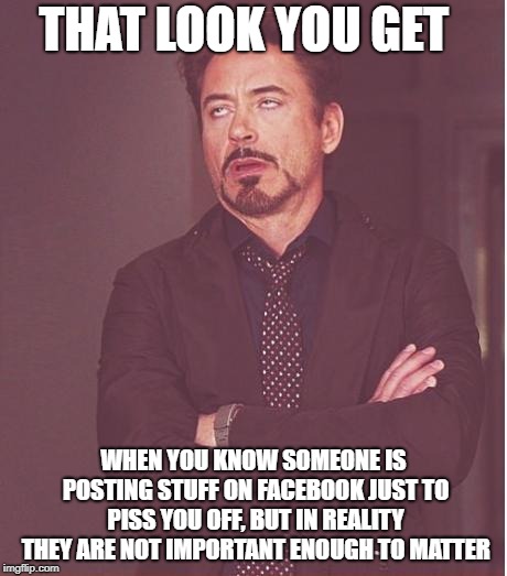 Face You Make Robert Downey Jr Meme | THAT LOOK YOU GET; WHEN YOU KNOW SOMEONE IS POSTING STUFF ON FACEBOOK JUST TO PISS YOU OFF, BUT IN REALITY THEY ARE NOT IMPORTANT ENOUGH TO MATTER | image tagged in memes,face you make robert downey jr | made w/ Imgflip meme maker