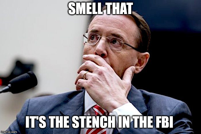 Rod Rosenstein | SMELL THAT; IT'S THE STENCH IN THE FBI | image tagged in rod rosenstein | made w/ Imgflip meme maker