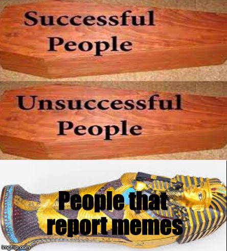 Coffin meme | People that report memes | image tagged in coffin meme memereport | made w/ Imgflip meme maker