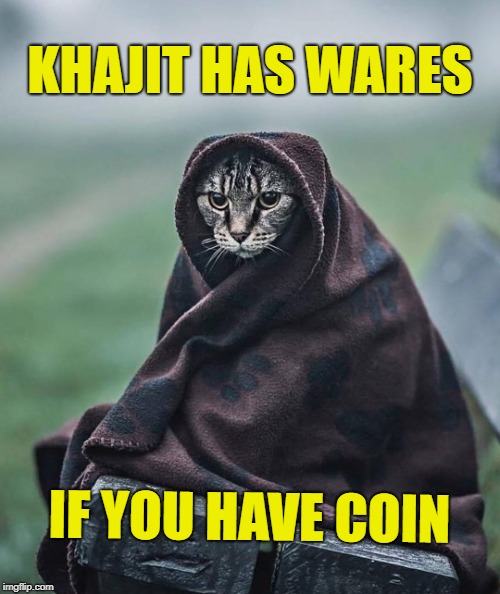 Khajit has wares | KHAJIT HAS WARES; IF YOU HAVE COIN | image tagged in khajit,wares,memes,skyrim | made w/ Imgflip meme maker