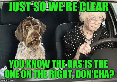 Old People Driving School | JUST SO WE'RE CLEAR; YOU KNOW THE GAS IS THE ONE ON THE RIGHT, DON'CHA? | image tagged in old lady and dog | made w/ Imgflip meme maker