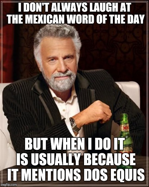 The Most Interesting Man In The World Meme | I DON'T ALWAYS LAUGH AT THE MEXICAN WORD OF THE DAY BUT WHEN I DO IT IS USUALLY BECAUSE IT MENTIONS DOS EQUIS | image tagged in memes,the most interesting man in the world | made w/ Imgflip meme maker