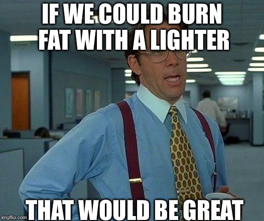   | IF WE COULD BURN FAT WITH A LIGHTER; THAT WOULD BE GREAT | image tagged in memes,that would be great,fat | made w/ Imgflip meme maker