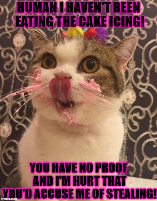 HUMAN I HAVEN'T BEEN EATING THE CAKE ICING! YOU HAVE NO PROOF AND I'M HURT THAT YOU'D ACCUSE ME OF STEALING! | image tagged in cake thief | made w/ Imgflip meme maker