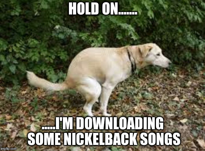 nickelback | HOLD ON....... .....I'M DOWNLOADING SOME NICKELBACK SONGS | image tagged in dog pooping,nickelback,downloading | made w/ Imgflip meme maker