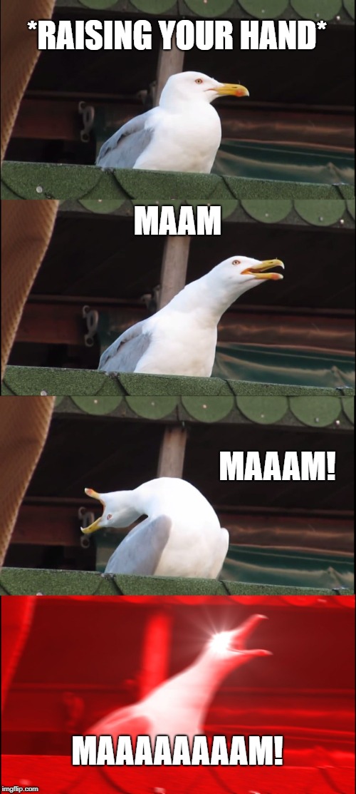 Inhaling Seagull | *RAISING YOUR HAND*; MAAM; MAAAM! MAAAAAAAAM! | image tagged in memes,inhaling seagull | made w/ Imgflip meme maker