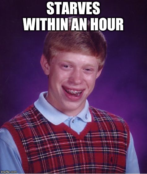 Bad Luck Brian Meme | STARVES WITHIN AN HOUR | image tagged in memes,bad luck brian | made w/ Imgflip meme maker