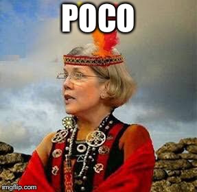 Pocahontas Warren Lizzy | POCO | image tagged in pocahontas warren lizzy | made w/ Imgflip meme maker