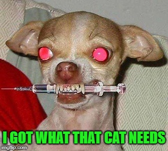I GOT WHAT THAT CAT NEEDS | made w/ Imgflip meme maker