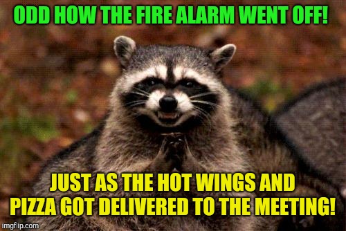 Evil Plotting Raccoon Meme | ODD HOW THE FIRE ALARM WENT OFF! JUST AS THE HOT WINGS AND PIZZA GOT DELIVERED TO THE MEETING! | image tagged in memes,evil plotting raccoon | made w/ Imgflip meme maker
