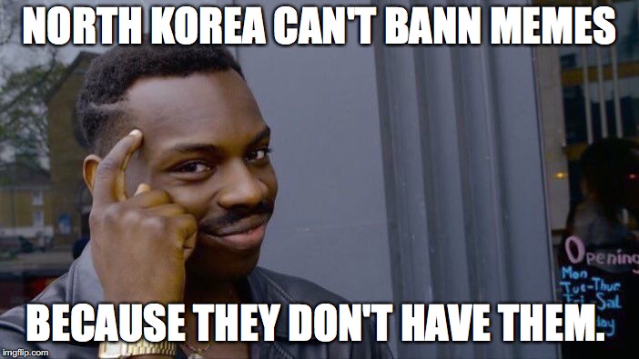 Roll Safe Think About It | NORTH KOREA CAN'T BANN MEMES; BECAUSE THEY DON'T HAVE THEM. | image tagged in memes,roll safe think about it | made w/ Imgflip meme maker