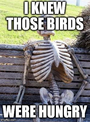 Waiting Skeleton Meme | I KNEW THOSE BIRDS; WERE HUNGRY | image tagged in memes,waiting skeleton | made w/ Imgflip meme maker