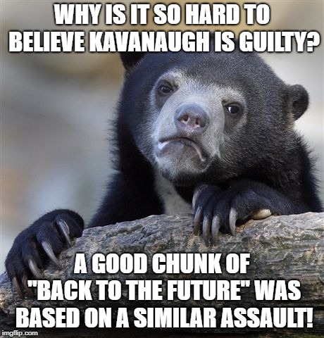 Confession Bear Meme | WHY IS IT SO HARD TO BELIEVE KAVANAUGH IS GUILTY? A GOOD CHUNK OF "BACK TO THE FUTURE" WAS BASED ON A SIMILAR ASSAULT! | image tagged in memes,confession bear | made w/ Imgflip meme maker