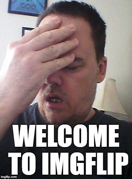 face palm | WELCOME TO IMGFLIP | image tagged in face palm | made w/ Imgflip meme maker