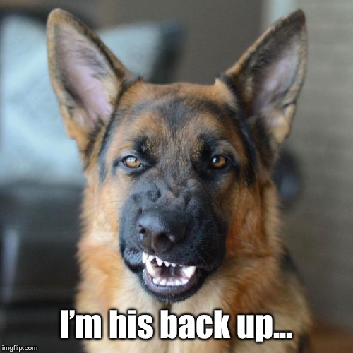 Mean DOG  | I’m his back up... | image tagged in mean dog | made w/ Imgflip meme maker