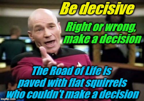 Who knew a squirrel could teach a life lesson?  Lol |  Be decisive; Right or wrong, make a decision; The Road of Life is paved with flat squirrels who couldn't make a decision | image tagged in memes,picard wtf,evilmandoevil,funny,life lessons | made w/ Imgflip meme maker