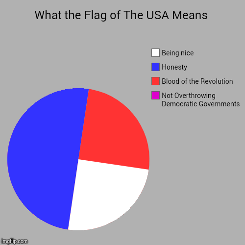 What the Flag of The USA Means | Not Overthrowing Democratic Governments, Blood of the Revolution, Honesty, Being nice | image tagged in funny,pie charts | made w/ Imgflip chart maker
