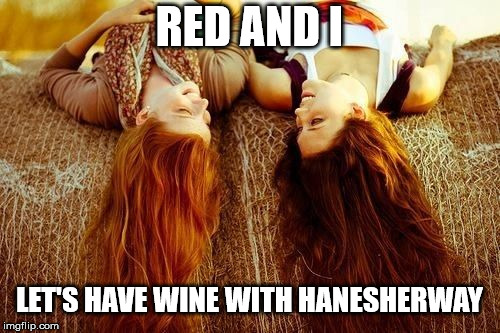RED AND I LET'S HAVE WINE WITH HANESHERWAY | made w/ Imgflip meme maker